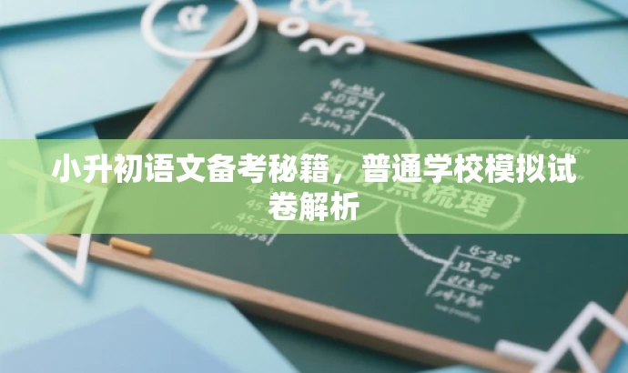 小升初语文备考秘籍,普通学校模拟试卷解析 小升初语文备考秘籍,普通学校模拟试卷解析
