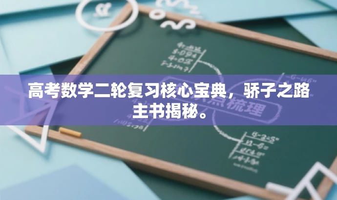 高考数学二轮复习核心宝典,骄子之路主书揭秘。 高考数学二轮复习核心宝典,骄子之路主书揭秘。