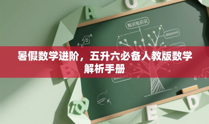 暑假数学进阶,五升六必备人教版数学解析手册 暑假数学进阶,五升六必备人教版数学解析手册