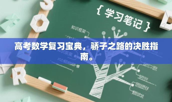 高考数学复习宝典,骄子之路的决胜指南。 高考数学复习宝典,骄子之路的决胜指南。