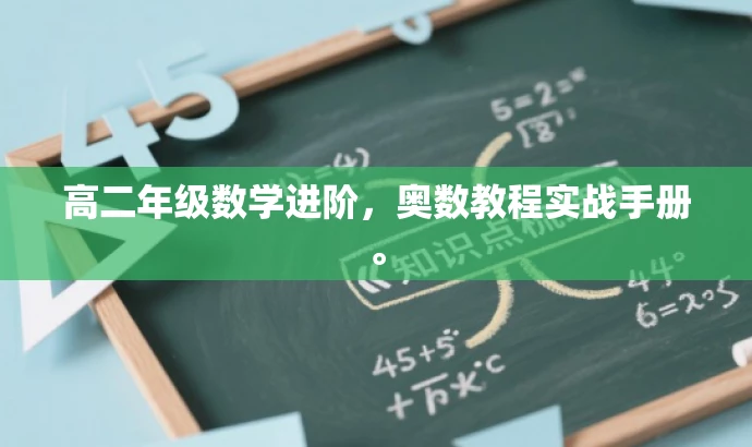 高二年级数学进阶,奥数教程实战手册。 高二年级数学进阶,奥数教程实战手册。
