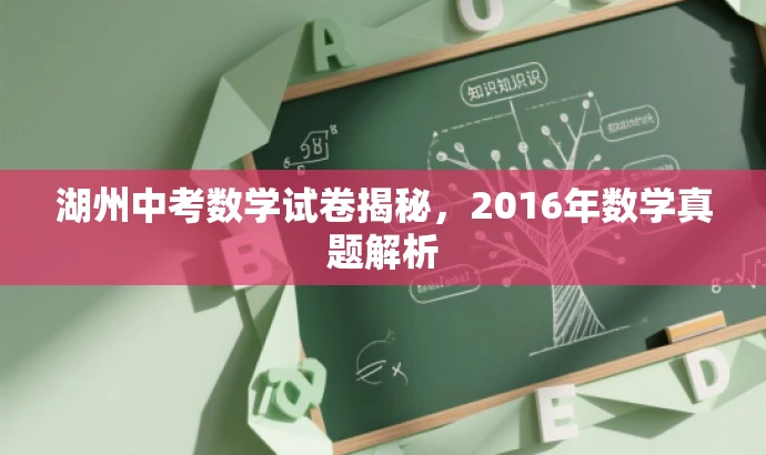 湖州中考数学试卷揭秘，2016年数学真题解析