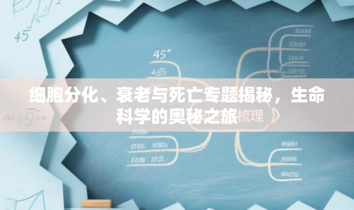 细胞分化、衰老与死亡专题揭秘,生命科学的奥秘之旅 细胞分化、衰老与死亡专题揭秘,生命科学的奥秘之旅