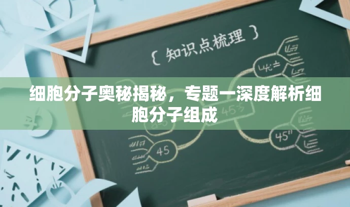 细胞分子奥秘揭秘，专题一深度解析细胞分子组成