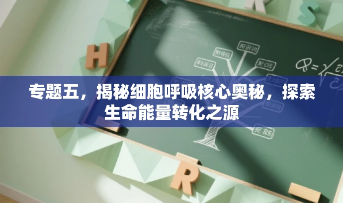 专题五,揭秘细胞呼吸核心奥秘,探索生命能量转化之源 专题五,揭秘细胞呼吸核心奥秘,探索生命能量转化之源