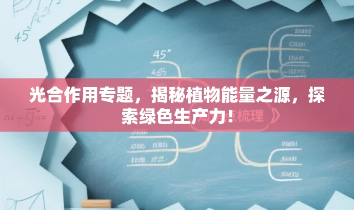 光合作用专题，揭秘植物能量之源，探索绿色生产力！