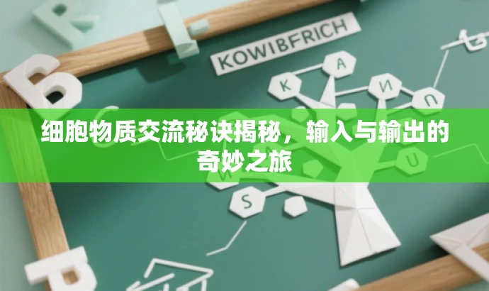 细胞物质交流秘诀揭秘,输入与输出的奇妙之旅 细胞物质交流秘诀揭秘,输入与输出的奇妙之旅