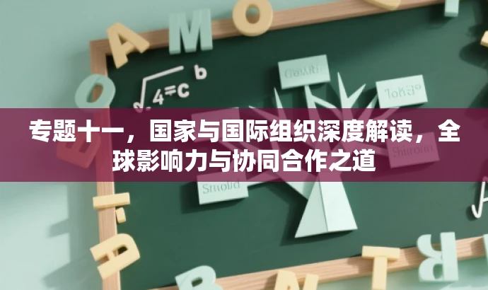 专题十一,国家与国际组织深度解读,全球影响力与协同合作之道 专题十一,国家与国际组织深度解读,全球影响力与协同合作之道