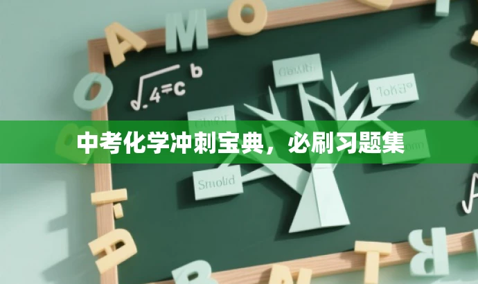 中考化学冲刺宝典，必刷习题集