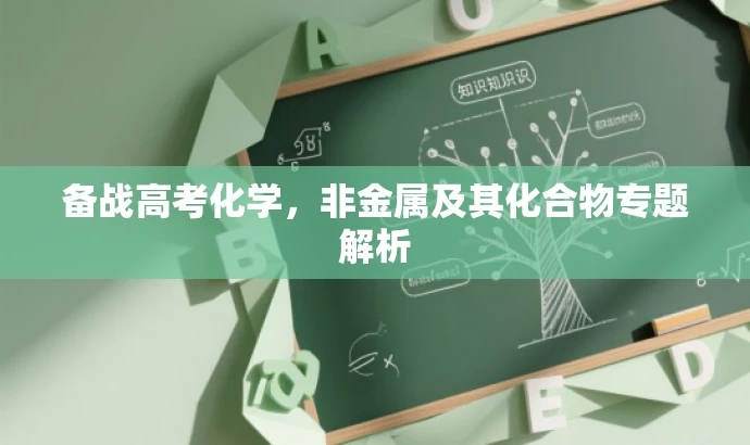 备战高考化学,非金属及其化合物专题解析 备战高考化学,非金属及其化合物专题解析