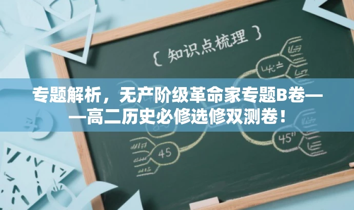 专题解析,无产阶级革命家专题B卷——高二历史必修选修双测卷! 专题解析,无产阶级革命家专题B卷——高二历史必修选修双测卷!
