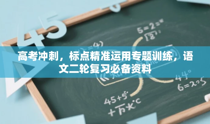 高考冲刺,标点精准运用专题训练,语文二轮复习必备资料 高考冲刺,标点精准运用专题训练,语文二轮复习必备资料