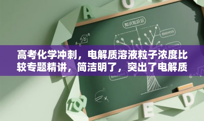 高考化学冲刺,电解质溶液粒子浓度比较专题精讲,简洁明了,突出了电解质溶液粒子浓度的比较这一核心考点,同时适用于高考化学冲刺阶段的学生,语言具有吸引力。 高考化学冲刺,电解质溶液粒子浓度比较专题精讲,简洁明了,突出了电解质溶液粒子浓度的比较这一核心考点,同时适用于高考化学冲刺阶段的学生,语言具有吸引力。