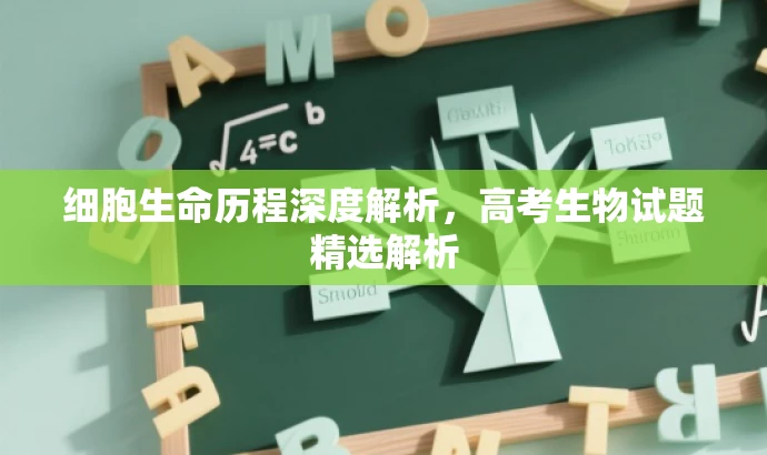 细胞生命历程深度解析,高考生物试题精选解析 细胞生命历程深度解析,高考生物试题精选解析
