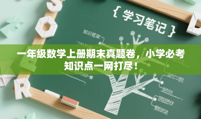 一年级数学上册期末真题卷,小学必考知识点一网打尽! 一年级数学上册期末真题卷,小学必考知识点一网打尽!