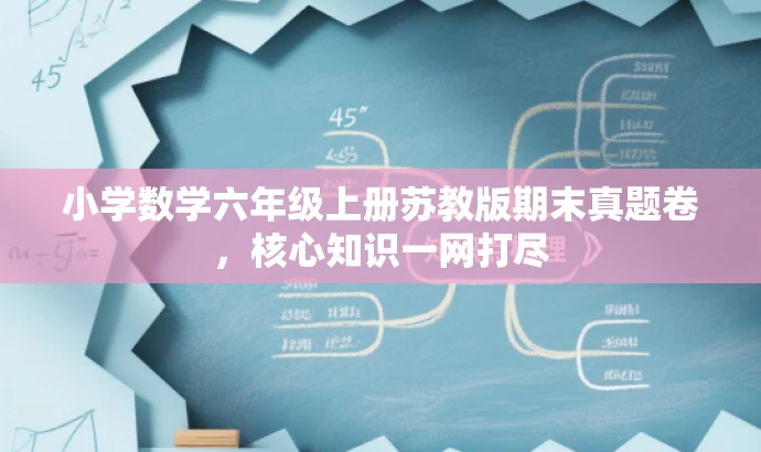 小学数学六年级上册苏教版期末真题卷,核心知识一网打尽 小学数学六年级上册苏教版期末真题卷,核心知识一网打尽