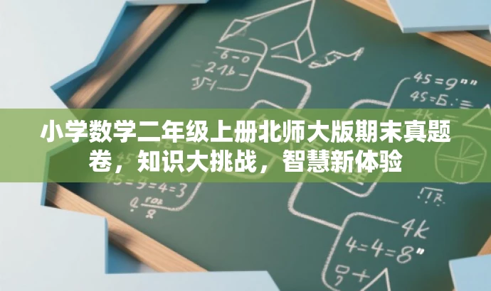 小学数学二年级上册北师大版期末真题卷,知识大挑战,智慧新体验 小学数学二年级上册北师大版期末真题卷,知识大挑战,智慧新体验