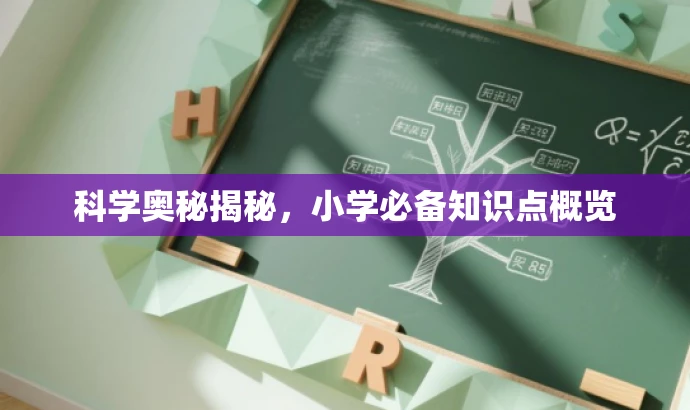 科学奥秘揭秘,小学必备知识点概览 科学奥秘揭秘,小学必备知识点概览