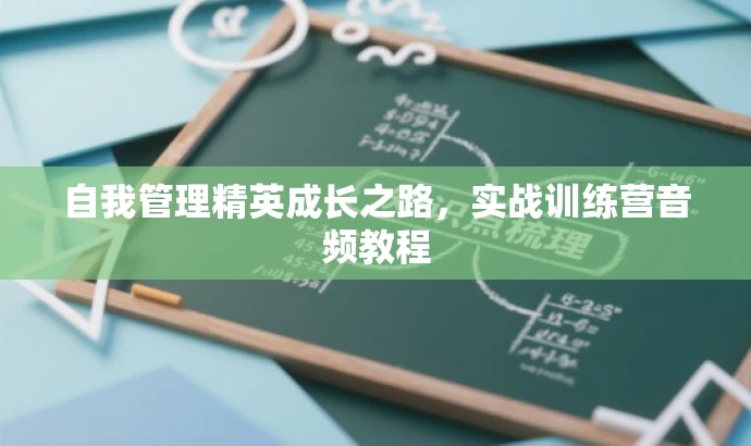 自我管理精英成长之路,实战训练营音频教程 自我管理精英成长之路,实战训练营音频教程