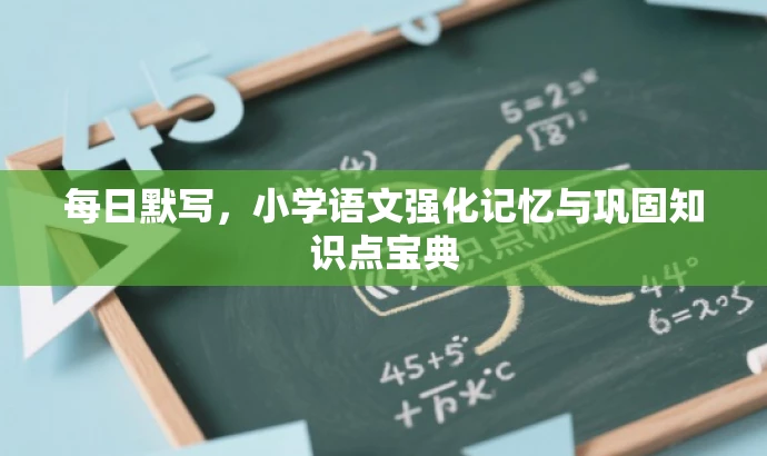 每日默写,小学语文强化记忆与巩固知识点宝典 每日默写,小学语文强化记忆与巩固知识点宝典
