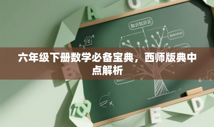 六年级下册数学必备宝典,西师版典中点解析 六年级下册数学必备宝典,西师版典中点解析