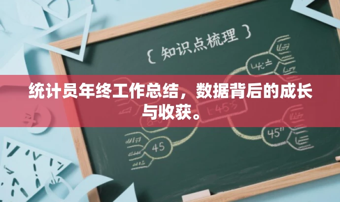 统计员年终工作总结，数据背后的成长与收获。