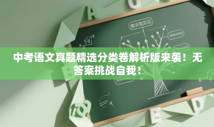 中考语文真题精选分类卷解析版来袭!无答案挑战自我! 中考语文真题精选分类卷解析版来袭!无答案挑战自我!