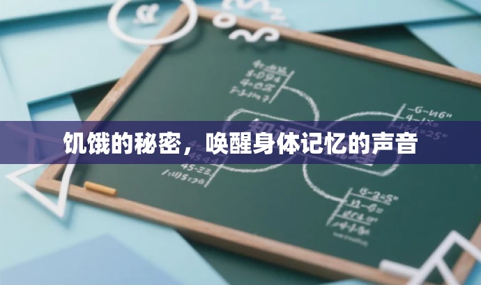 饥饿的秘密,唤醒身体记忆的声音 饥饿的秘密,唤醒身体记忆的声音