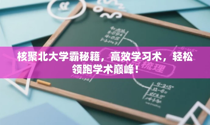 核聚北大学霸秘籍,高效学习术,轻松领跑学术巅峰! 核聚北大学霸秘籍,高效学习术,轻松领跑学术巅峰!