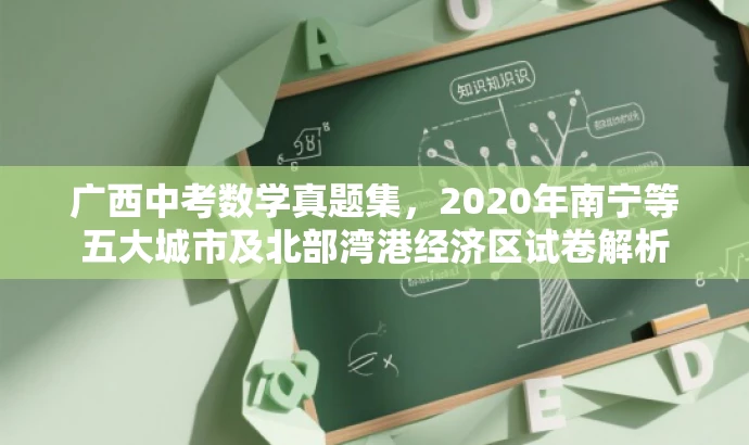 广西中考数学真题集,2020年南宁等五大城市及北部湾港经济区试卷解析 广西中考数学真题集,2020年南宁等五大城市及北部湾港经济区试卷解析