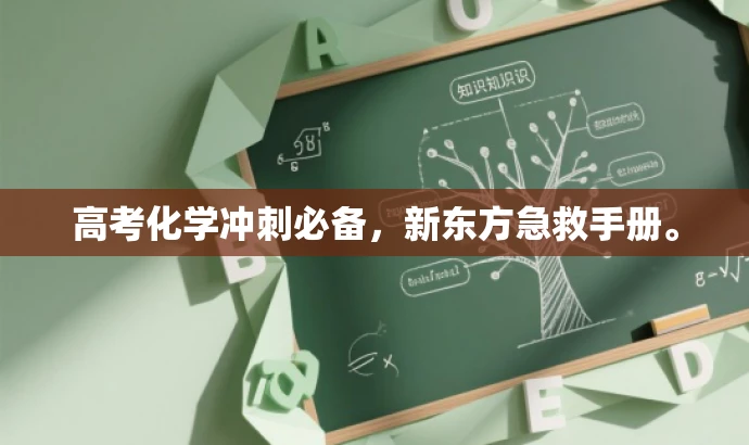 高考化学冲刺必备,新东方急救手册。 高考化学冲刺必备,新东方急救手册。