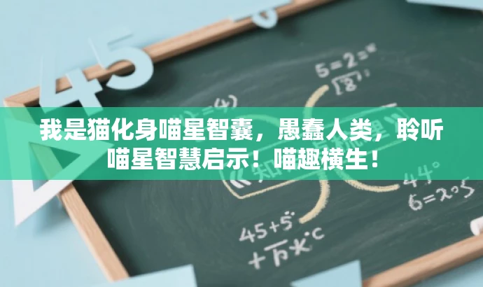 我是猫化身喵星智囊,愚蠢人类,聆听喵星智慧启示!喵趣横生! 我是猫化身喵星智囊,愚蠢人类,聆听喵星智慧启示!喵趣横生!