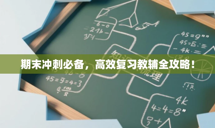期末冲刺必备,高效复习教辅全攻略! 期末冲刺必备,高效复习教辅全攻略!