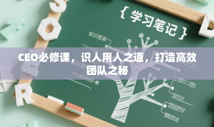 CEO必修课,识人用人之道,打造高效团队之秘 CEO必修课,识人用人之道,打造高效团队之秘