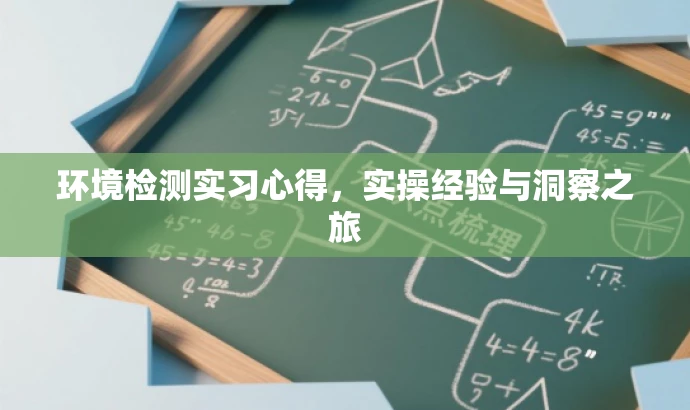 环境检测实习心得，实操经验与洞察之旅