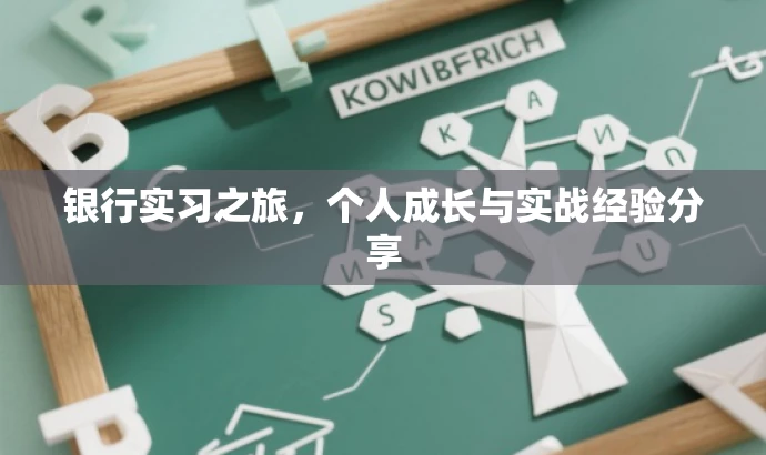 银行实习之旅,个人成长与实战经验分享 银行实习之旅,个人成长与实战经验分享