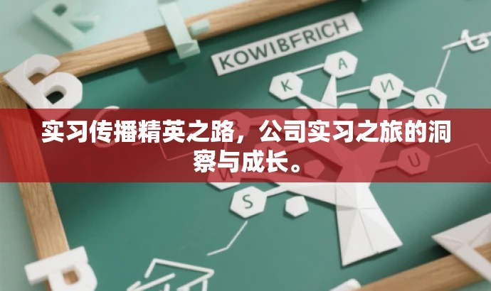实习传播精英之路,公司实习之旅的洞察与成长。 实习传播精英之路,公司实习之旅的洞察与成长。