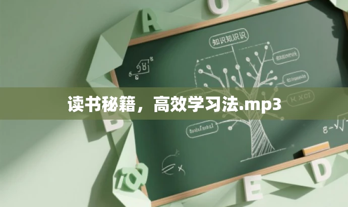 读书秘籍,高效学习法.mp3 读书秘籍,高效学习法.mp3