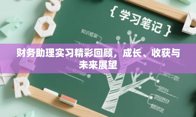 财务助理实习精彩回顾,成长、收获与未来展望 财务助理实习精彩回顾,成长、收获与未来展望