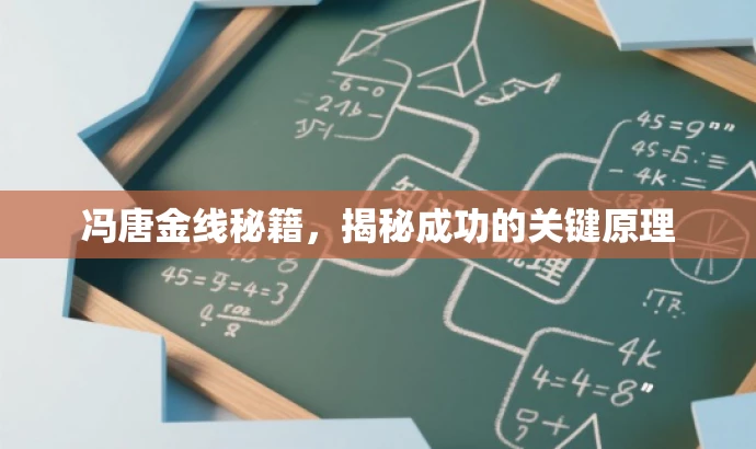 冯唐金线秘籍,揭秘成功的关键原理 冯唐金线秘籍,揭秘成功的关键原理