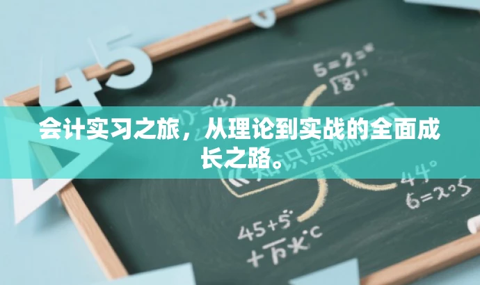 会计实习之旅,从理论到实战的全面成长之路。 会计实习之旅,从理论到实战的全面成长之路。