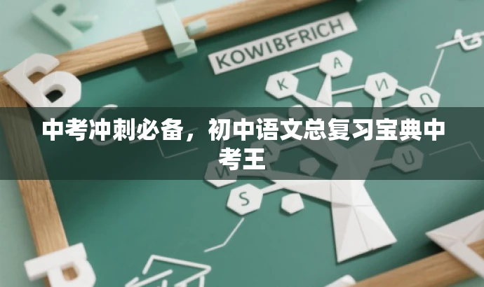 中考冲刺必备,初中语文总复习宝典中考王 中考冲刺必备,初中语文总复习宝典中考王