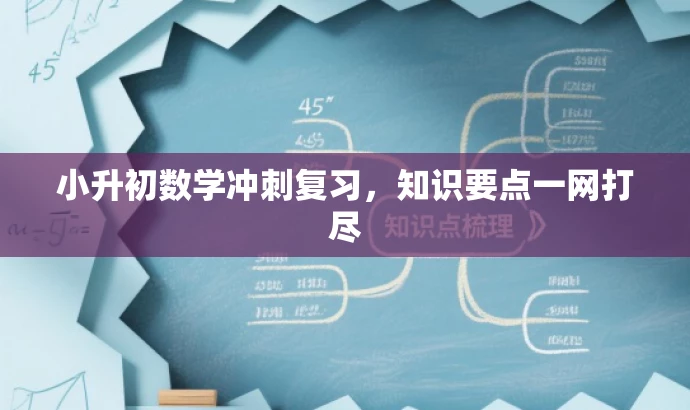 小升初数学冲刺复习,知识要点一网打尽 小升初数学冲刺复习,知识要点一网打尽