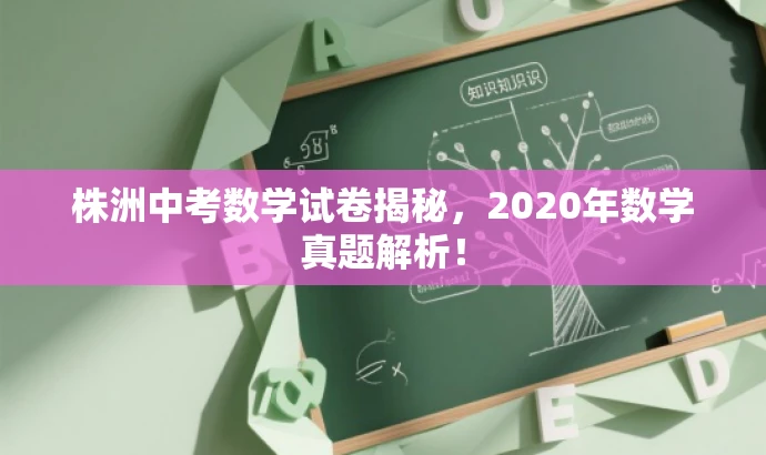株洲中考数学试卷揭秘,2020年数学真题解析! 株洲中考数学试卷揭秘,2020年数学真题解析!