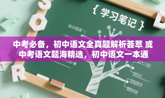 中考必备,初中语文全真题解析荟萃 或 中考语文题海精选,初中语文一本通 中考必备,初中语文全真题解析荟萃 或 中考语文题海精选,初中语文一本通