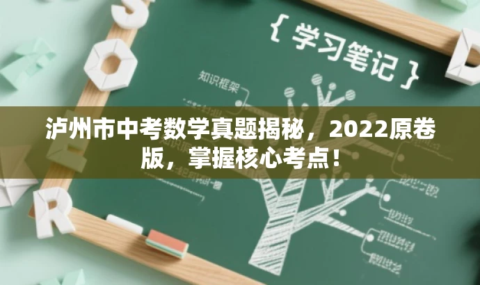 泸州市中考数学真题揭秘,2022原卷版,掌握核心考点! 泸州市中考数学真题揭秘,2022原卷版,掌握核心考点!