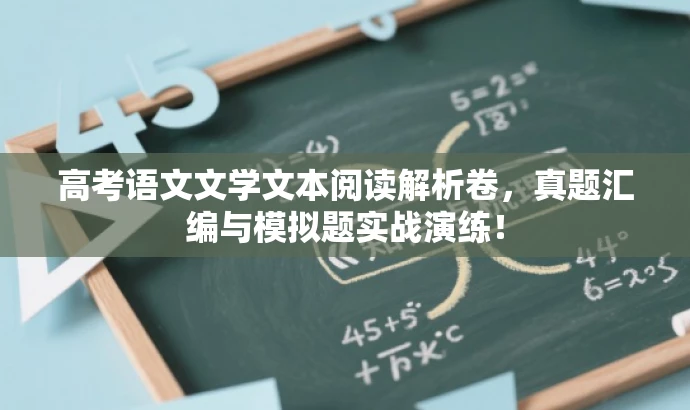 高考语文文学文本阅读解析卷,真题汇编与模拟题实战演练! 高考语文文学文本阅读解析卷,真题汇编与模拟题实战演练!