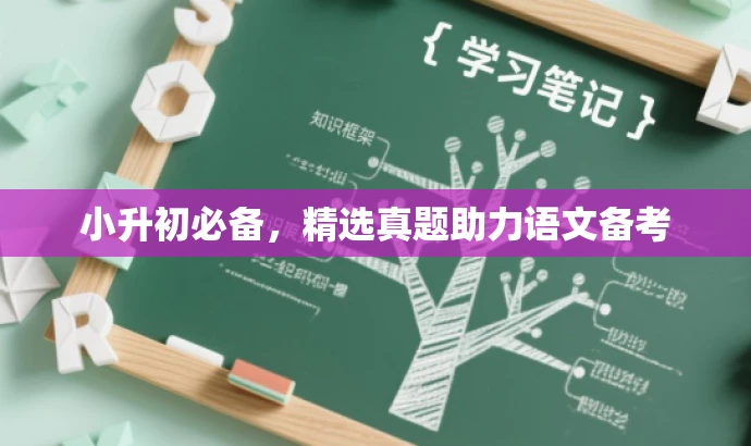 小升初必备,精选真题助力语文备考 小升初必备,精选真题助力语文备考