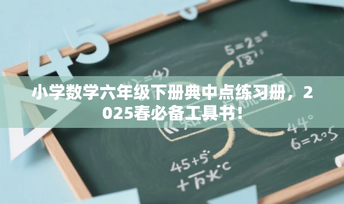 小学数学六年级下册典中点练习册,2025春必备工具书! 小学数学六年级下册典中点练习册,2025春必备工具书!