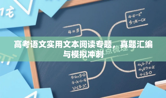 高考语文实用文本阅读专题,真题汇编与模拟冲刺 高考语文实用文本阅读专题,真题汇编与模拟冲刺